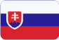 Lignes galvaniques Slovensky